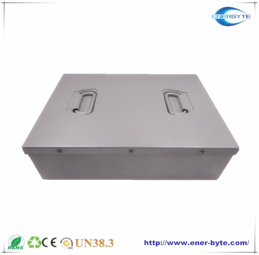 LiFePO4 Agv/Automated Guided Vehicle Battery 24V 60ah/100ah
