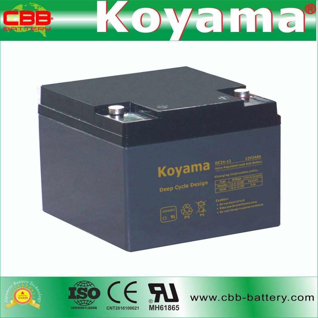 DC24-12 12V 24ah Deep Cycle AGM Battery for Marine Vessels
