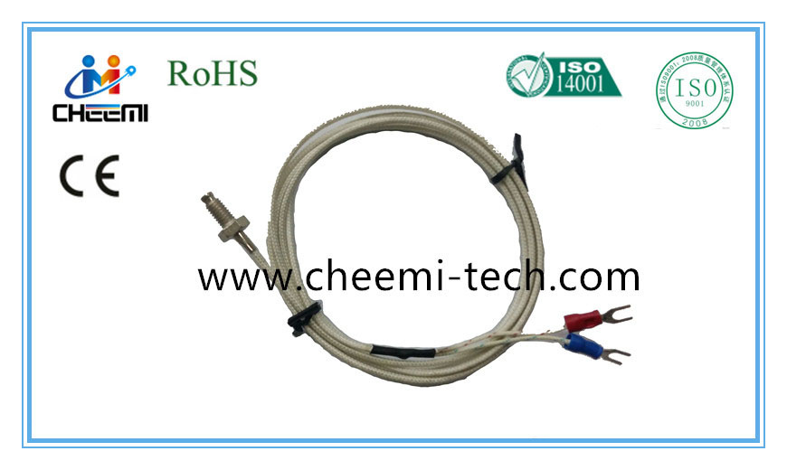 Thermocouple Wzpk Rtd PT20 PT100 PT500 PT1000 Type Temperature Sensor