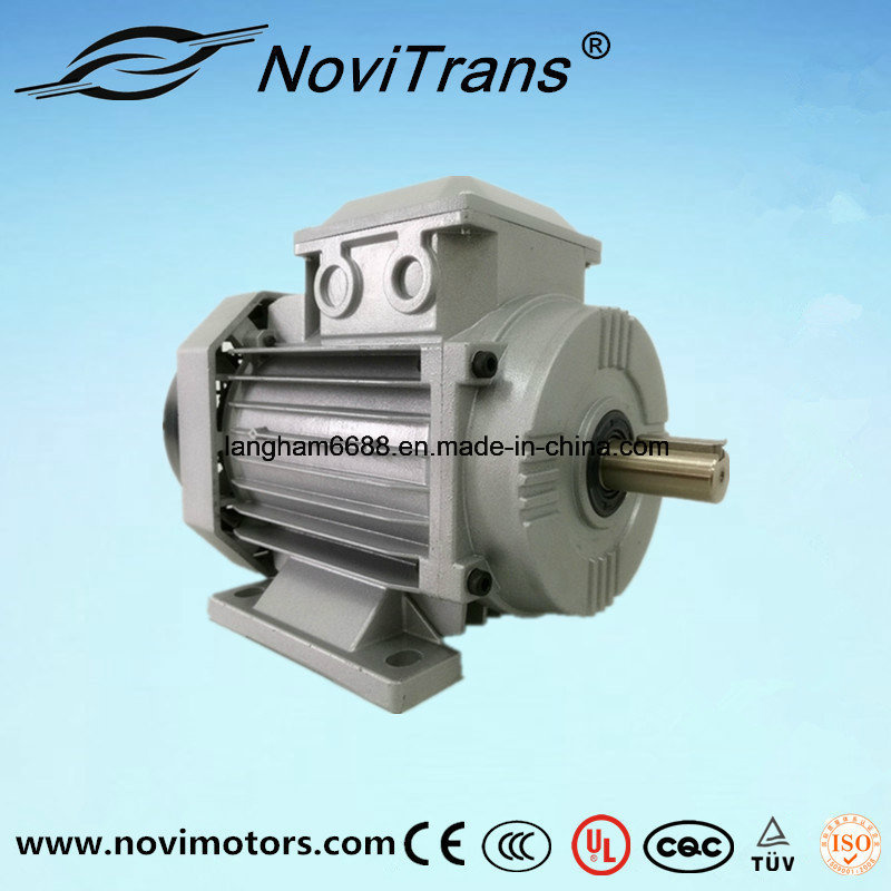 Self-Protection From Overloading Electric Motor, Ie4