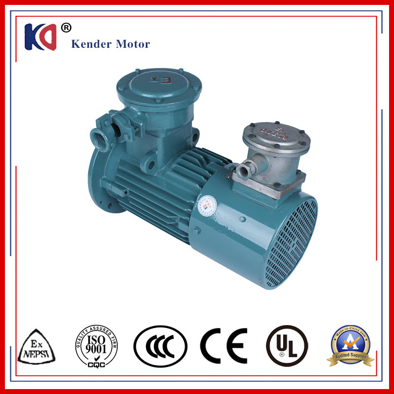 Explosion Proof AC Motor with High Protection Class