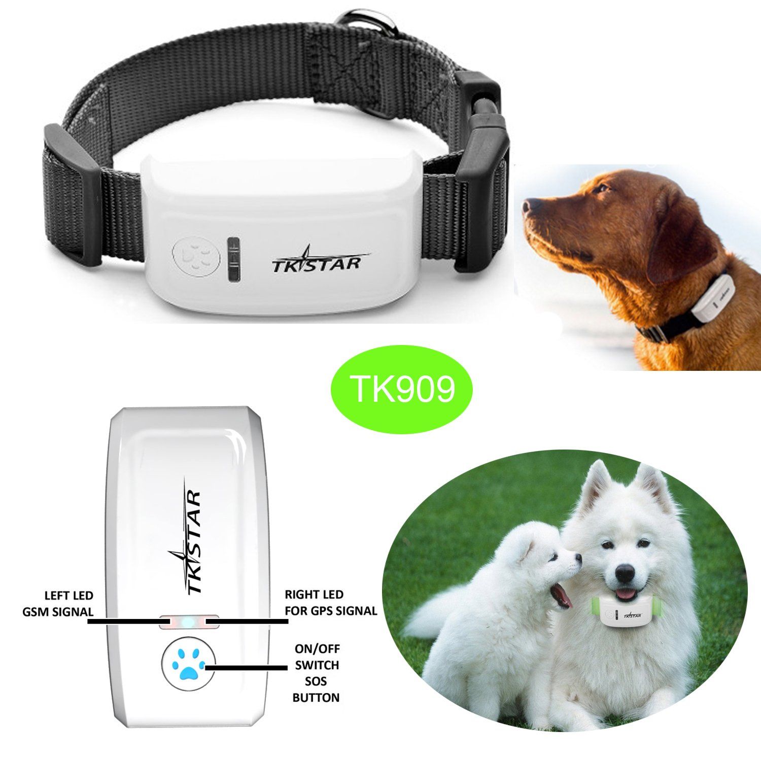 2017 Popular Pet GPS Tracker with Collar (TK909)