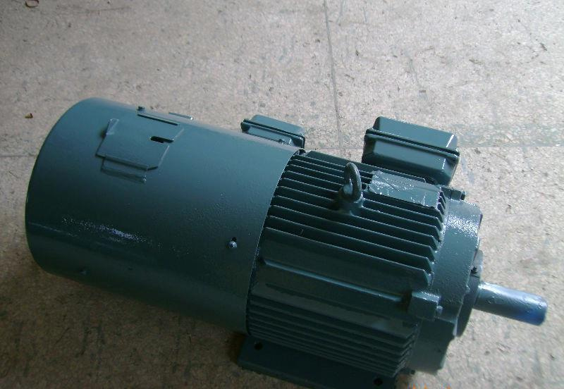 Semc Supply High Quality AC Motor