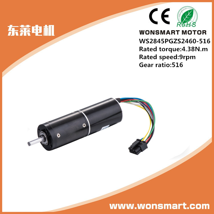 28mm High Torque 24V DC for Gas Meter Valve Zheng Geared Motor