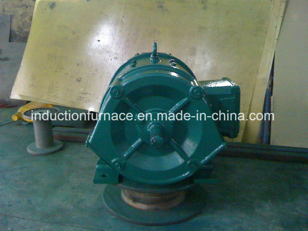 Electric Induction Motor DC 12V for Sale