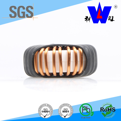 Common Mode Toroidal Choke Coil, Toroidal Inductor for DC-DC Converter