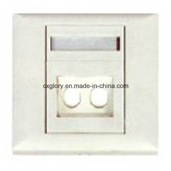 2 Ports St Styleiber Optic Faceplate