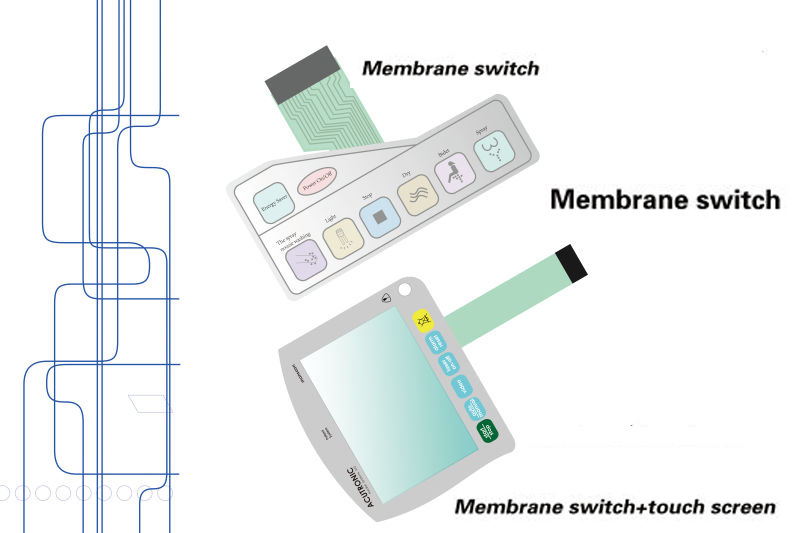High Quality Key Film Switch with Multiple Color