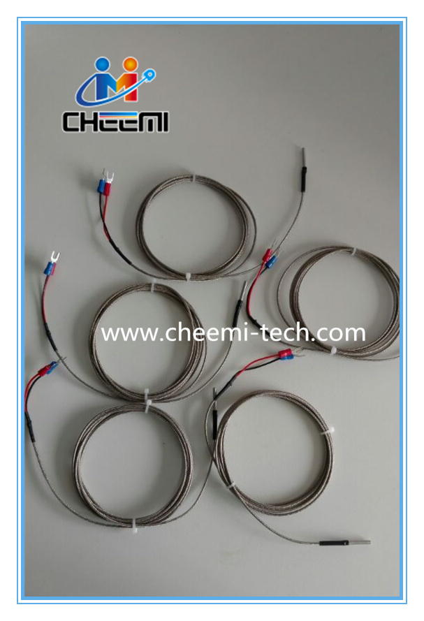 Temperature Sensor Rtd PT1000 Probe with Cable Two-Wire