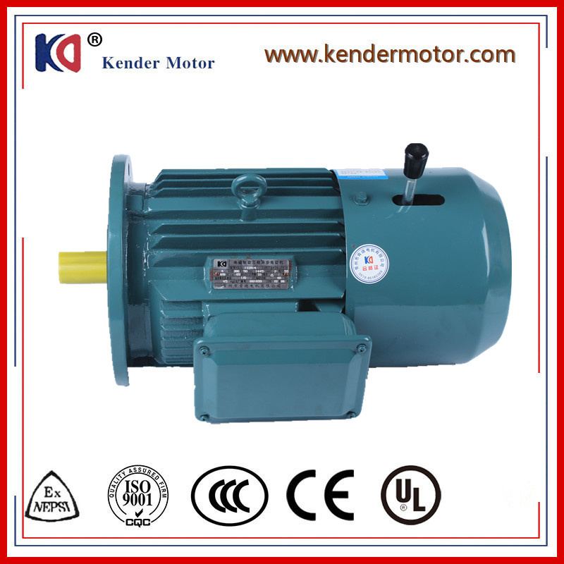 CE Approved Yej2 Series Induction AC Brake Motor