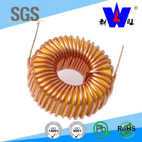 Lgh Toroidal Choke Coil Power Inductor with RoHS