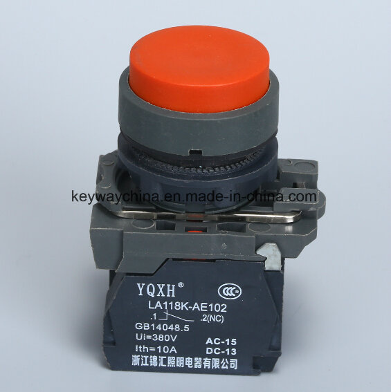 Pushbutton Switch with Projecting Function
