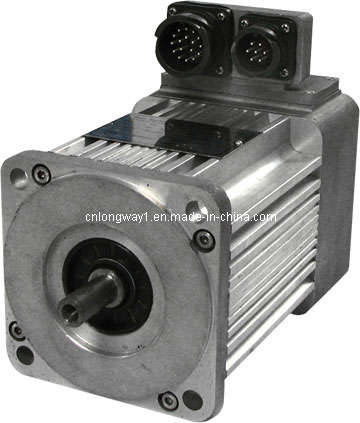 Permanent Magnetic Brushless Servo Motor