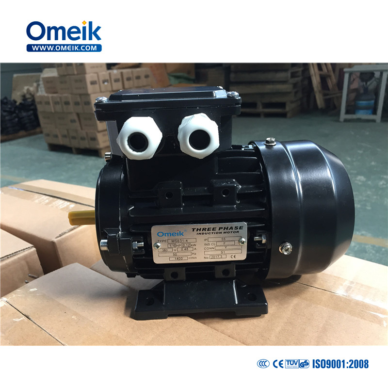 Ms AC Induction Three Phase Motor 45kw