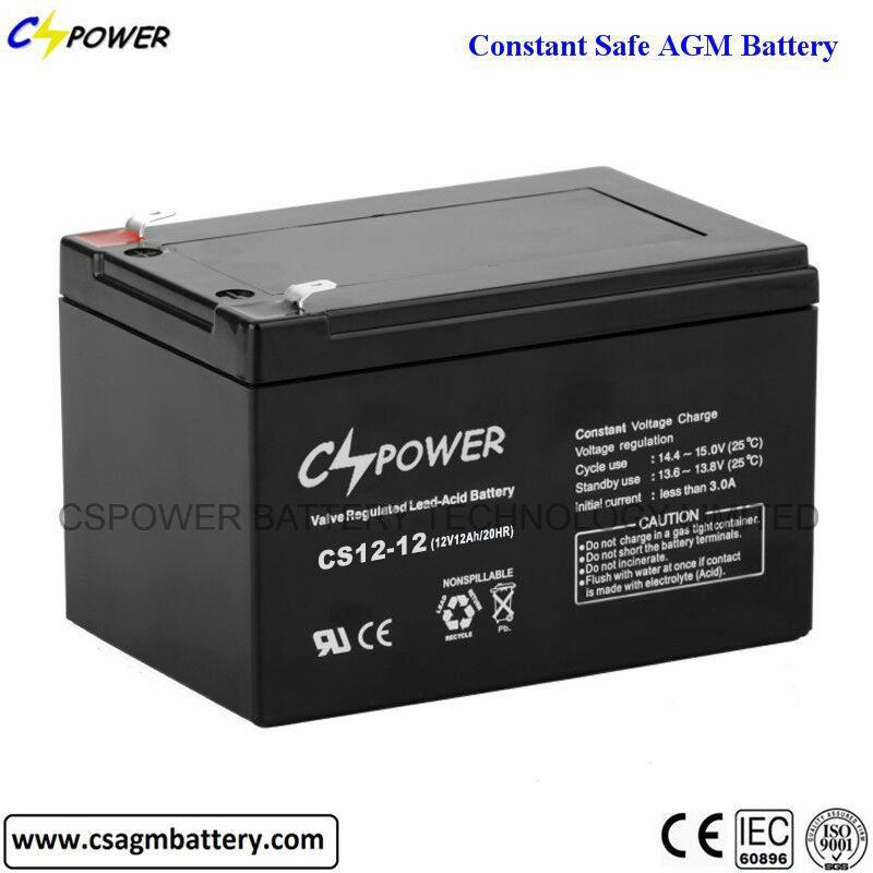 CS12-12 12V 12ah SLA Battery 12 Volt