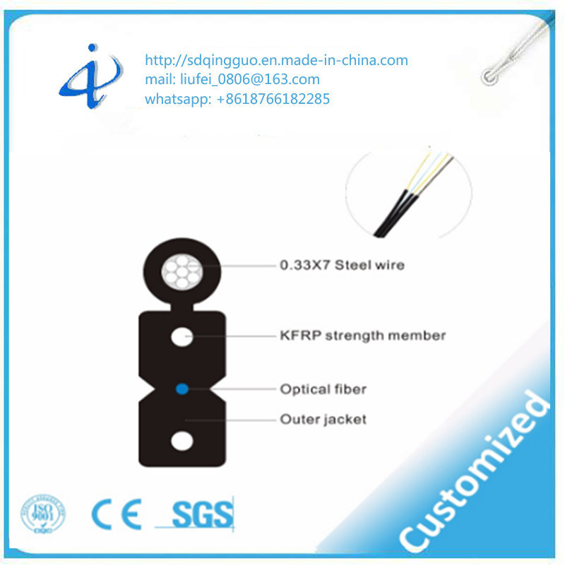 CAT6 PVC Sheath Single Model FTTH Fiber Optic Cable with 2 Core