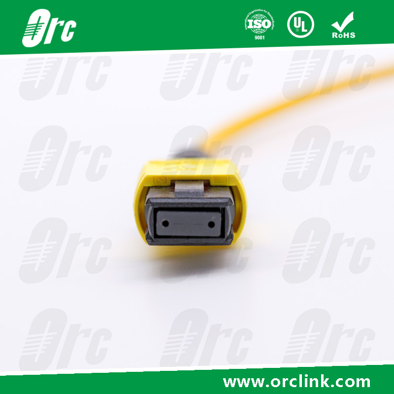 8f/12f/24f MPO-MPO Patchcord Jumper Optical Fiber Connector Sm Ofnp Lowloss 10 Meters