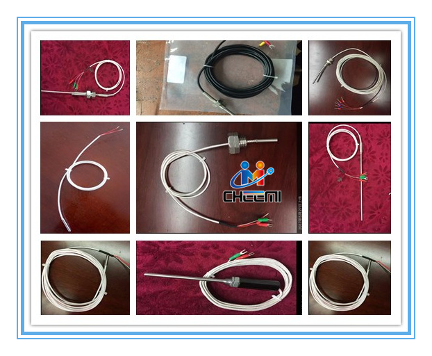 Waterproof Rtd PT100 Temperature Sensor Probe 2 Wire