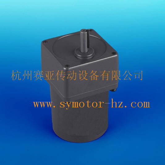 15W 220V Mirco AC Reversible Motor