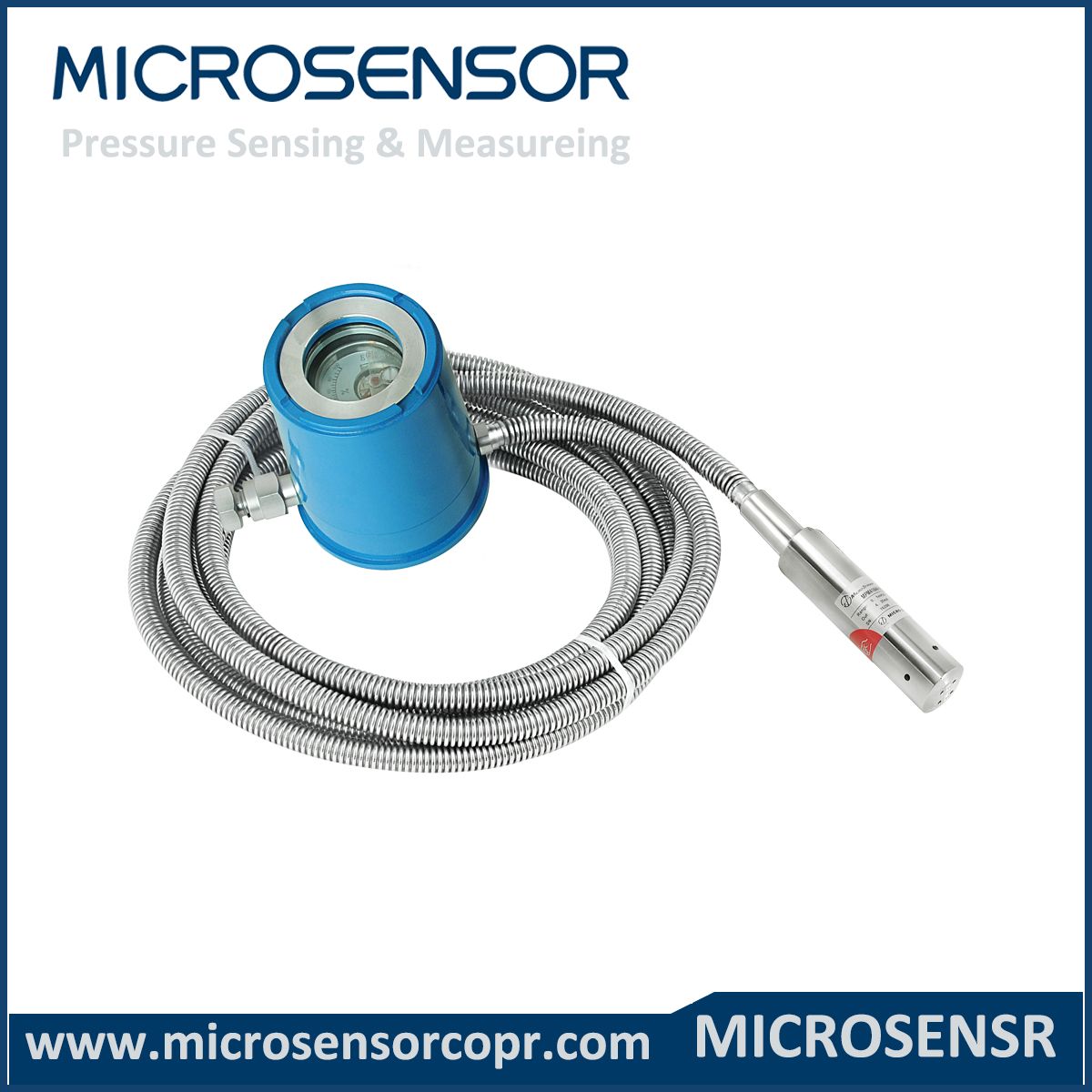 Separate Submersible Level Transmitter with Various Outputs Mpm416wrk