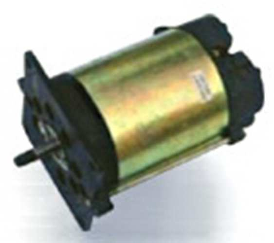 Electric Brush DC Motor (RS-7530)