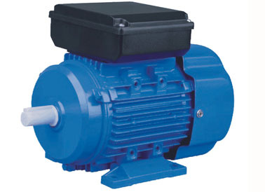 Ml Series Single Phase Dual Capacitor Asynchronous Motor