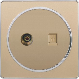 British Standard TV Plus Telephone Socket Golden