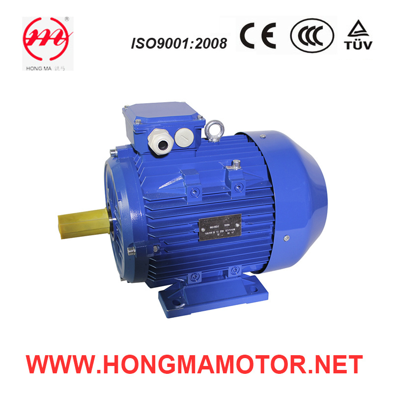 Three Phase Cast Iron Electric Induction Motor