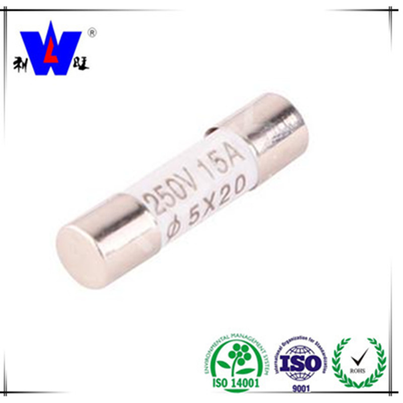 Good Price Power Car Fuse