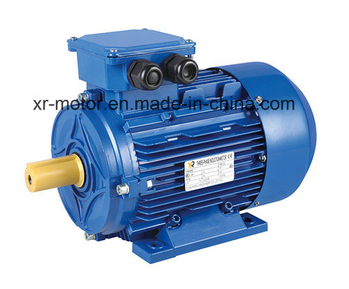 General Purpose Three Phase Induction Motor (GOST Standard)