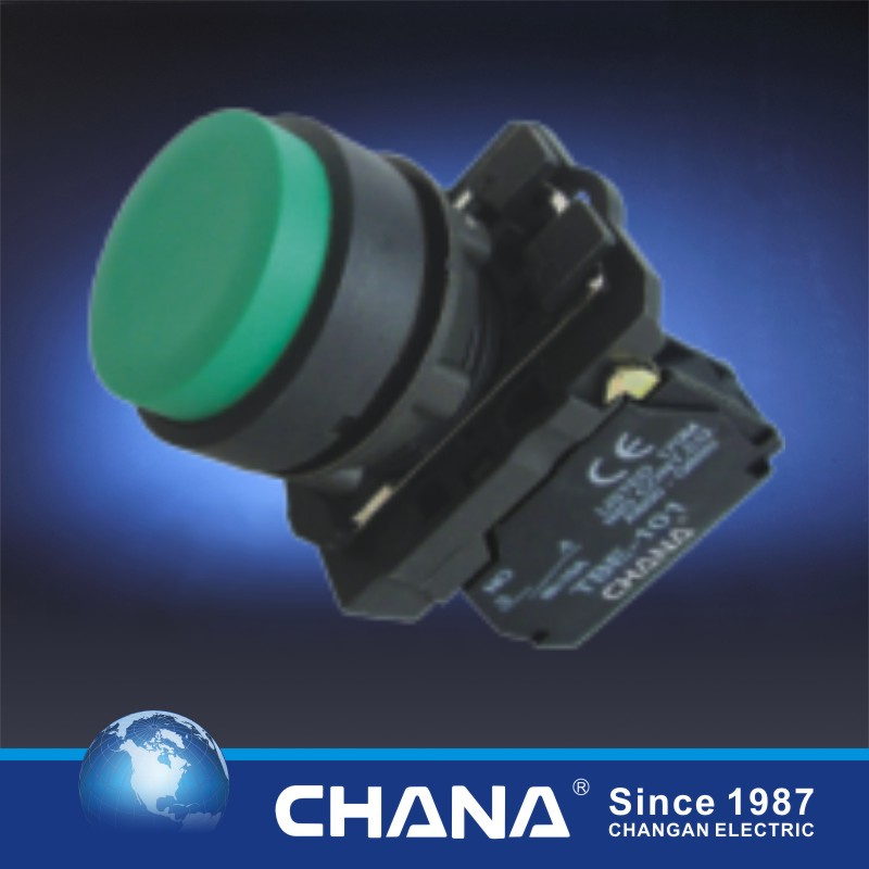Plastic Type Protruding Pushbutton Switch