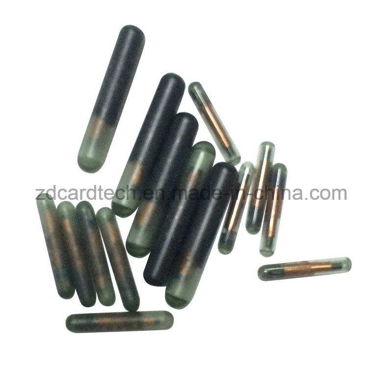 Fdx-B 125kHz Capsule Animal Tag RFID Microchip for Pet