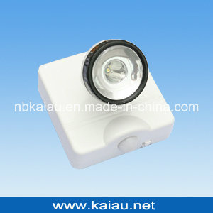 LED Motion Sensor Light (KA-SL-106S)