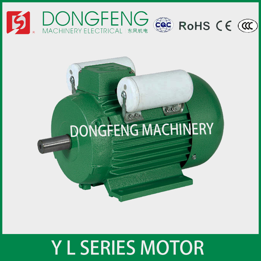 YL Series Single Phase Capacitor Asynchronous Motor