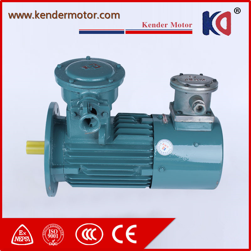 Flame Proof Variable-Frequency Motor with CE Certification