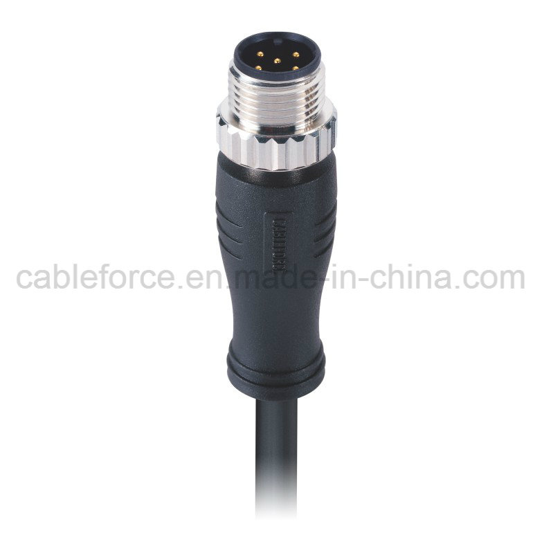 M12 5 Pin Male Straight Shielded Cable Connector with CNC Screw Free End