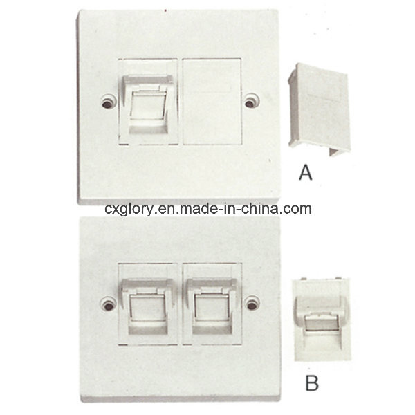 Systimax Type 45 Angled Faceplate