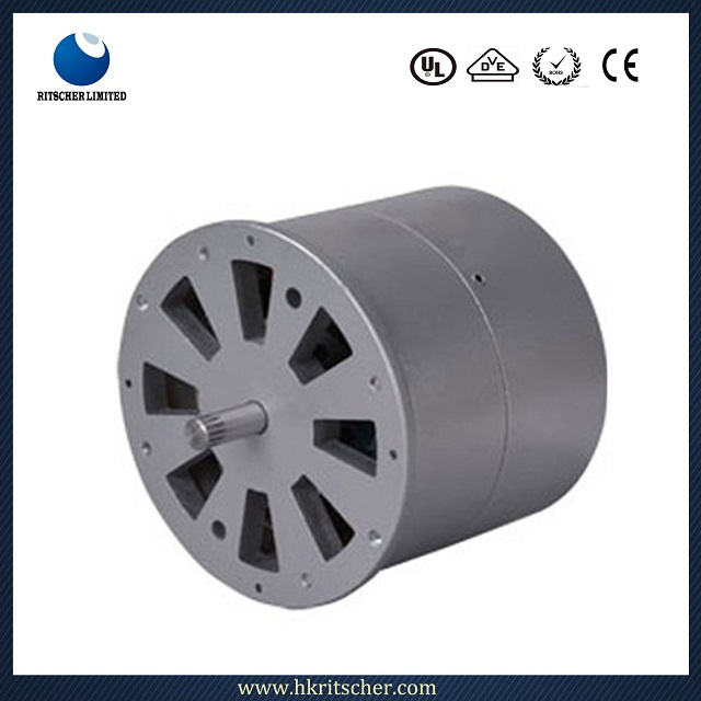 40-120W Ce Approved DC Electrical Brushless Motor for Massage