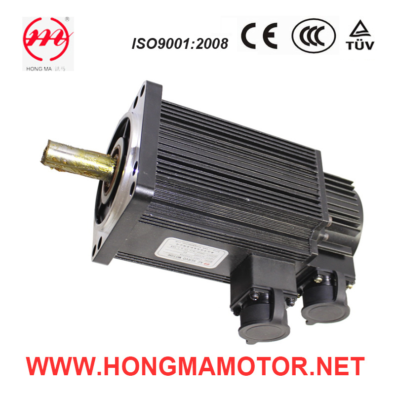 Factory Direct Sale AC Servo Motor (110ST-060020A)