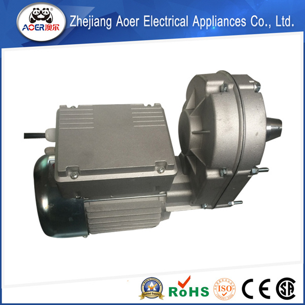 High Rpm Electrical Motor
