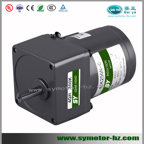 80mm 25W Micro AC Reversible Motor