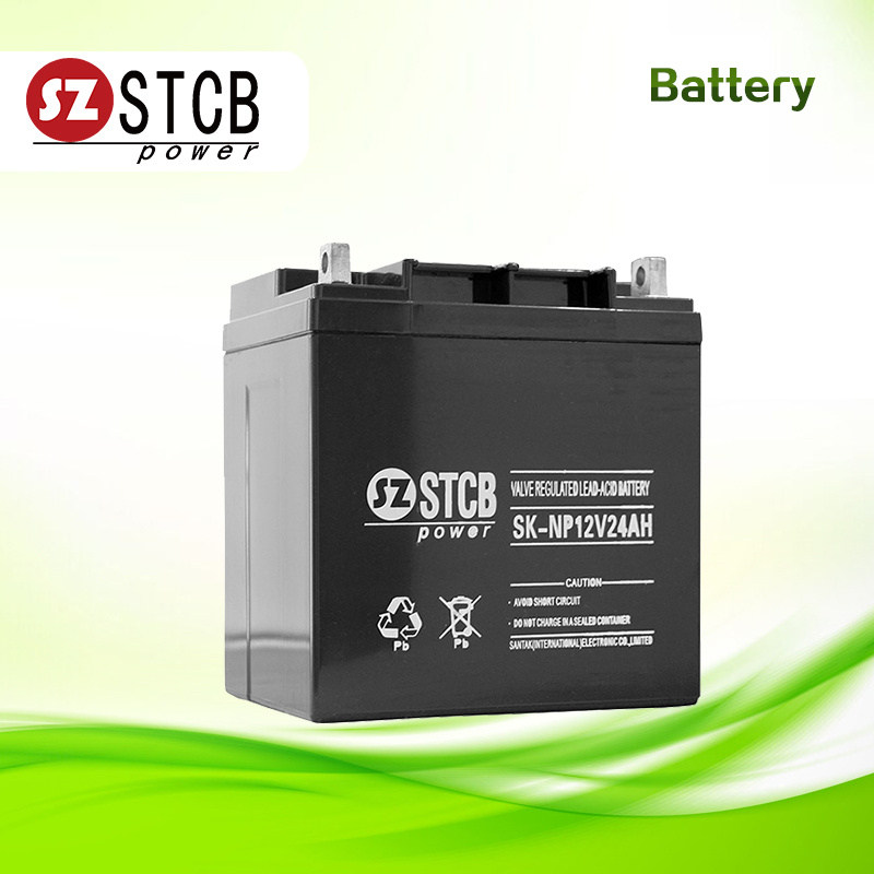 Factory AGM 12V24ah Lead Acid Battery for UPS System
