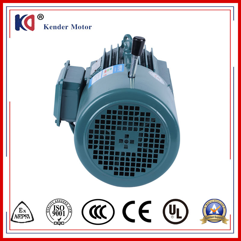 AC Asynchronous Brake Motor with Cast Iron Housing