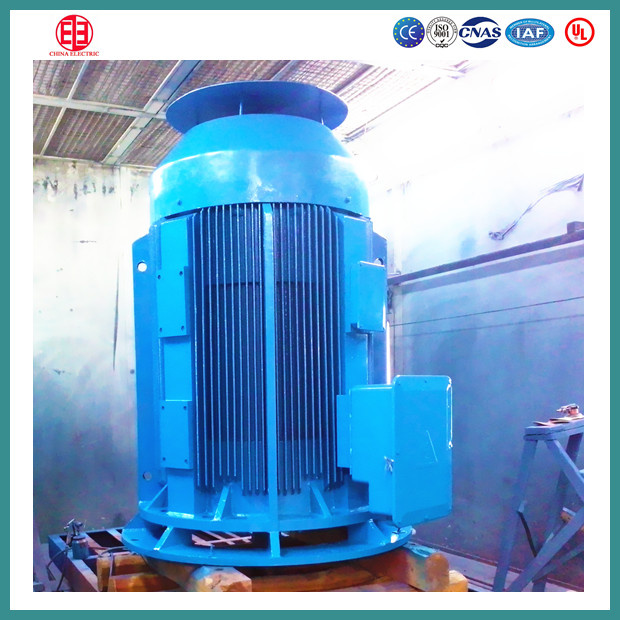 Vertical Solid Shaft Motor Vss Motor