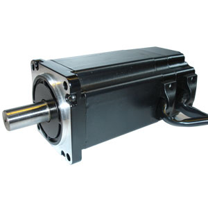 48V BLDC Motor for Ad Box