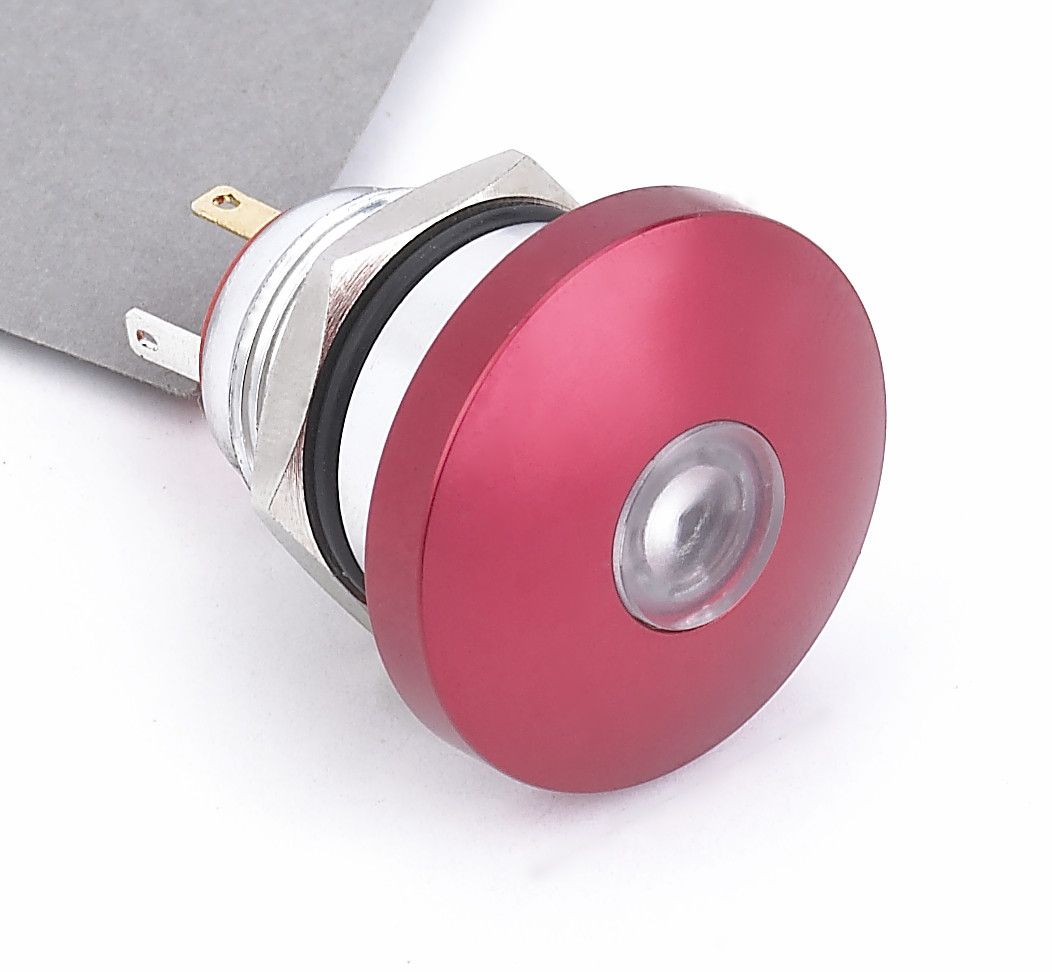 19mm DOT Illuminated Momentary Mushroom Push Button Switch