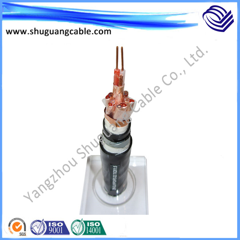 XLPE Armor Flexible Instrument Computer Cable