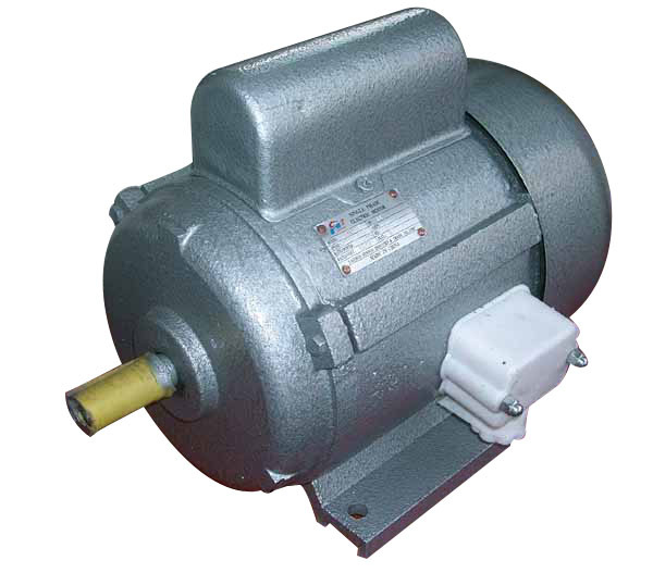 Single-Phase Capacitor Start Induction Motor