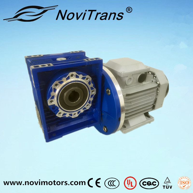 0.75kw AC Synchronous Motor with Decelerator (YFM-80B/D)