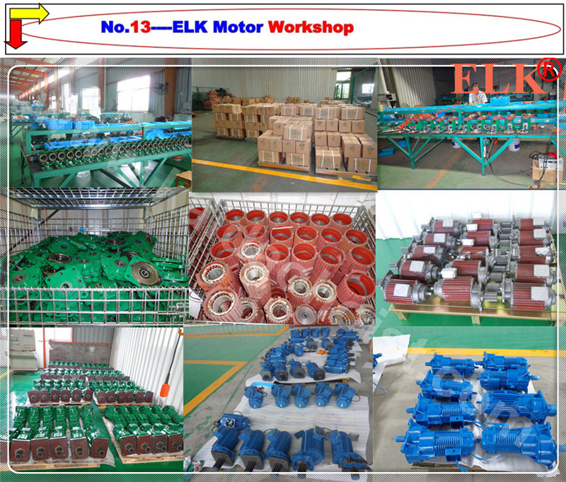 Elk Crane Geared Motor --0.25kw--3.75kw